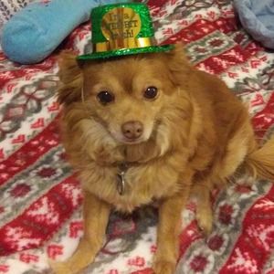 Meet your Posher, Karyn